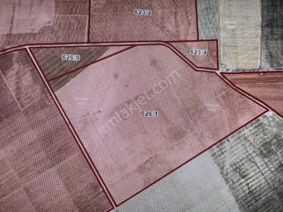 Konya Ereğli Zengen'de Satılık 302 Dönüm Tarla