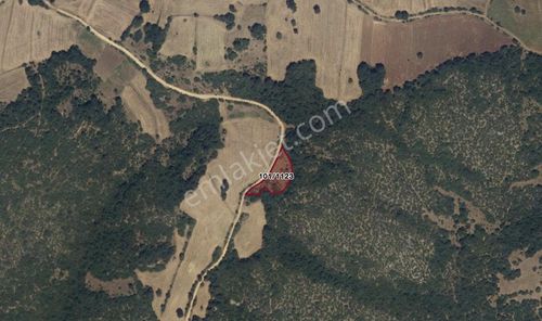 İnegöl Yeniyörük'de Kadastral Yola Cephe 2.5 Dönüm Satılık Tarla