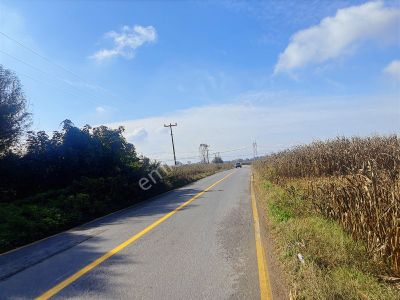 Hendek Akarca'da 3336m2 Satılık Tarla