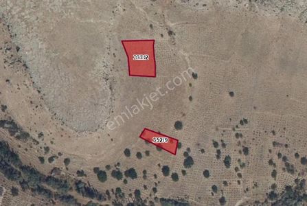 Doğanlarla / Yeni Mahalle De 352 2