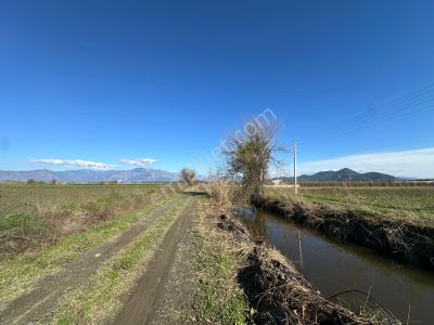 Dalyana Yakın Konumda, Köyceğiz Gölüne Yakın Satılık Tarla