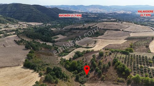 Acil! Deniz Gayrimenkul'den Avcıköy'de 1141 M2 Arazi