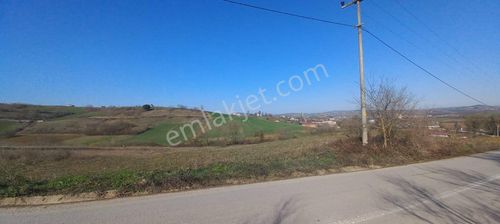 Kocaeli Körfez Himmetlide Satılık 1.677m2 Köy Karşısı %5 İmarlı Tarla