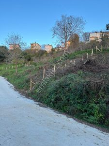Perşembe Kurtuluş Mahallesi Satılık İmarlı Arazi.