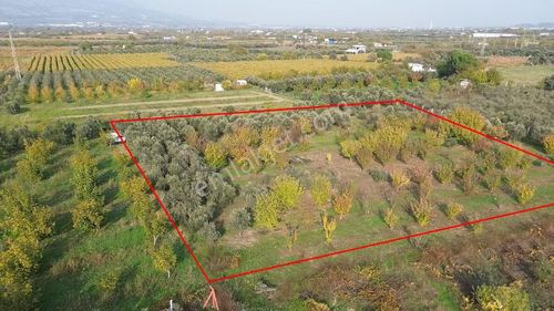 Satılık Müstakil Parsel İzmir Kemalpaşa Aşağı Kızılca