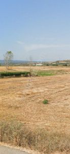 Karacabey Harmanlı Da Satılık Yatırımlık Tarla