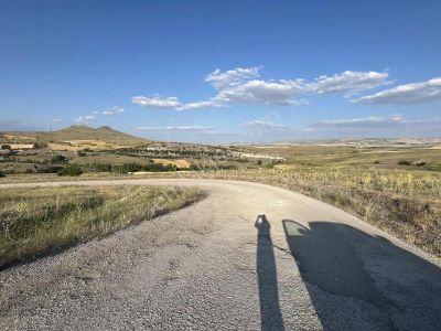 ▅▆█m Ü L K Ｅｍｌａｋ█▆▅ Kaçırılmaz Yatırım Fırsatı Alan Kazanıyor !!