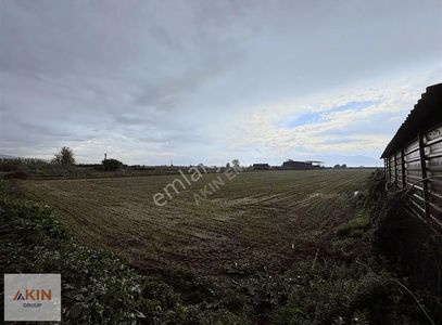 Bayındır Furunlu Satılık Yol Kenarı Tarla