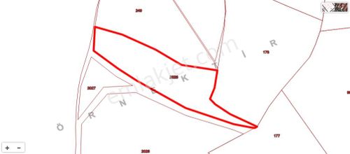 Gürsu Dışkayada Kadastro Cepheli Uygun Müstakil Yatırımlık Tarla
