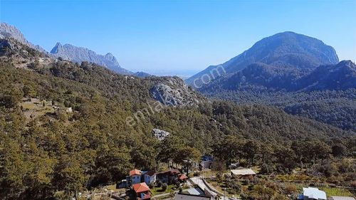 Zenginlik Ve Sadelik İsteyen Gelsin