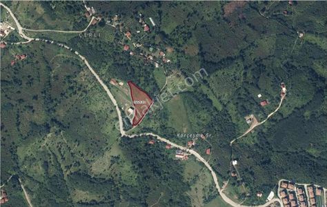 Ordu Perşembe Çerli Mahallesinde 5,5 Dönüm Deniz Manzaralı Arsa