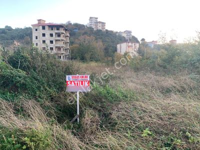 Doğuş Gayrimenkul Arsin Kuzguncuk Ta Satılık Konut İmarlı Arsa