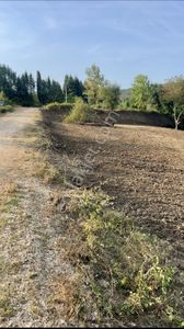 Düzce Yeşilyayla 'da 175 M2 Arsa