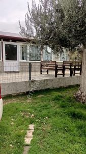 Balıkesir, Havran, Kocadağ,gevenlik Mevkiinde Satılık Zeytinlik