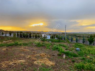 Arsa-Özel Kullanım