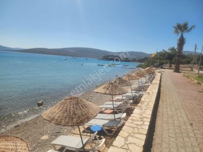 Mordoğan Emlaktan Manal Koyunda Denize Sıfır Satılık Yazlık