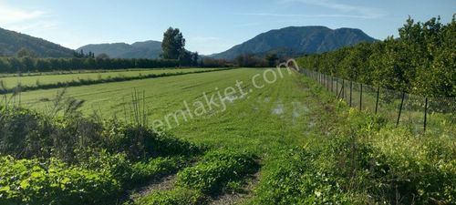 Ortaca Fevziye Mah.essiz Bir Doğanin İcinde Satılık Tarla