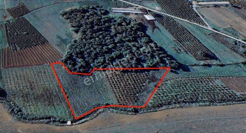 Borsem'den Sakarya Kaynarca'da Satılık Yatırımlık 9.084 M² Tarla