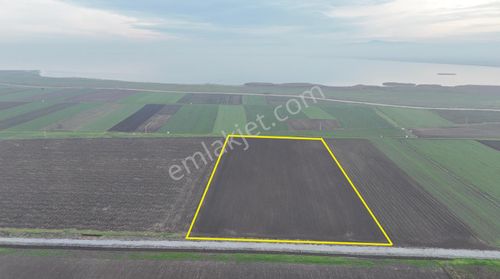 Göle 200 M 21.380 M2 Sulu Tarım Arazisi