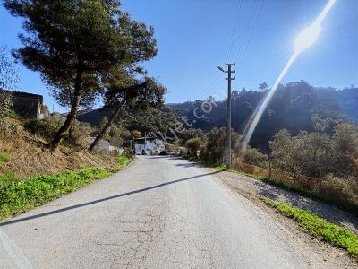 Aydın İncirliova Arzular Da Satılık 1.200 M2 Harım