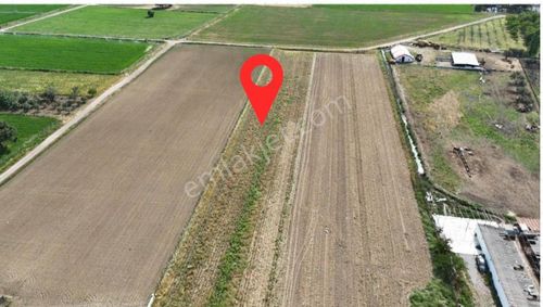 520 Gayrimenkulden Altınova İmara Yakın Tarla Satılık