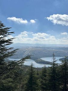 Eski 896 Yeni 158/1 De Satılık