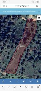 Şentürk Gayrimenkul | 2.398 M² Zeytinlik| İsabeyli Kampüs Tarafı