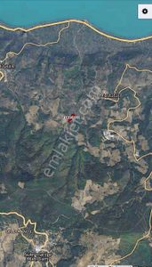 Dialog Prestij İznik Müsküle 5.857 M² Yatırımlık Zeytinlik