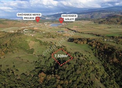 Dağyenice Göl Manzaralı Doğa İle İç İçe Arazi !