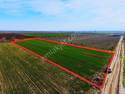 Salihli Süleymaniye'de Satılık 7500 M2 Sulu Tarla (video)