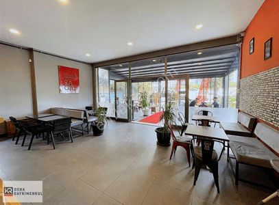 İşyeri-Dükkan & Mağaza