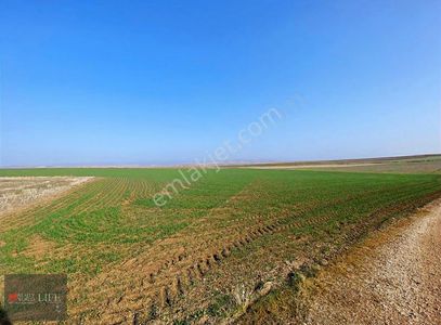 Rw Lıfe // Eskişehir Tepebaşı Yukarı Söğütönünde Satılık Tarla