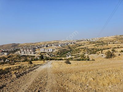 Hakev'den Yumru Tepede Hakim Bir Noktada 3149 Metre Tarla