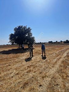 Üsküpgündoğdu Mah Organizesanayi Yakın Bölgede Yola Cephe Fırsat