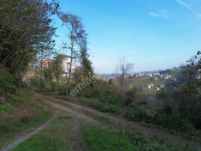 Trabzon Arsin Yenimahallede Satılık 5 Dönüm Arazi