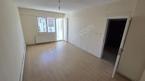 Hierapolis'ten Hacıkaplanlarda Çınara Yakın 2+1 Daire