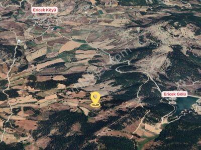 Megakant'ten Gürsu Dışkaya'da Göle Yakın Satılık Tarla