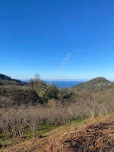 Century 21'den Perşembe Yeniköy'de Deniz Manzaralı Bahçe