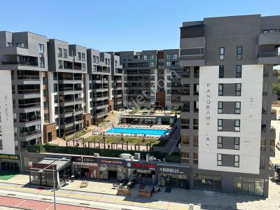 İşyeri-Dükkan & Mağaza