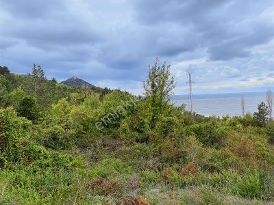 Türkan Emlaktan Deniz Görüşlü Arsa