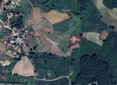 Kaynarca Uğurlu Köyü Satılık Kuyusu Ve Yolu Açılmış Tarla Acill!