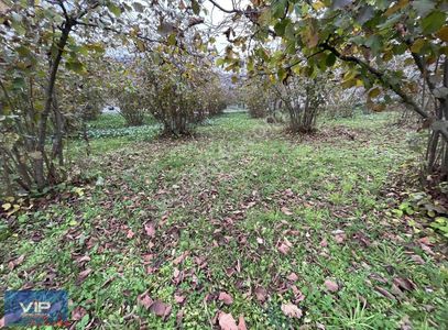 Vıp Gayrimenkul'den Kireçhane'de 1500 M2 Satılık Arsa