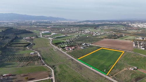 Oğlananası Menderes Arasında 16 Dönüm Tek Tapu Depo İnşaat Yap Elektrik Su İzmir