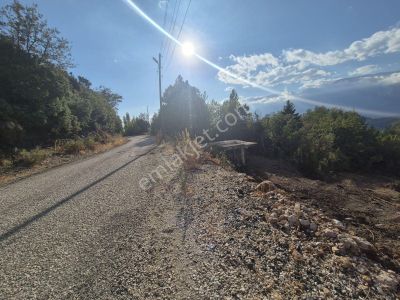 Erdoğan Emlak'tan Hayalinizdeki Doğal Yaşam Alanı