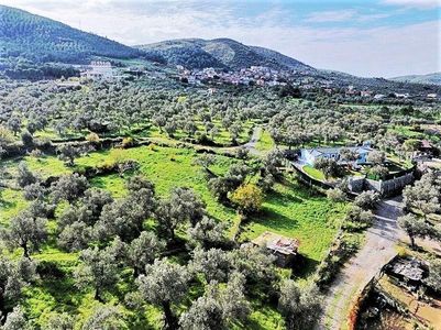 🌀gültaş Emlaktan Burhaniye Taylıelinde Satılık 1170m² Bağ Bahçe