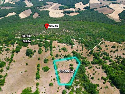 İznik Yenişerefiye'de Bölgenin En Uygun Yatırımlık Arazi