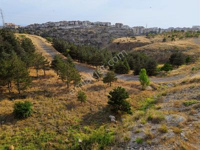Han'dan Ankaranın Balkonunda İmara Sınır Süper Yatırım
