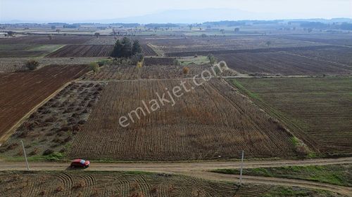 Net Premium'dan Acıpayam Akalan Da Satılık Tarla