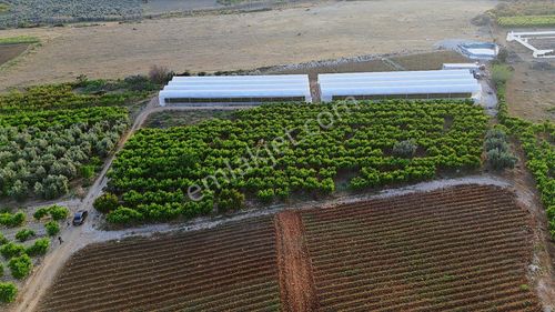 İmar Planında Konut Otoban Yoluna 1 Km 6.220 M2 Şeftali Bah.