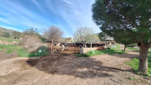 Çanakkale Ayvacık Kösederede 820 M² Satılık Arsa